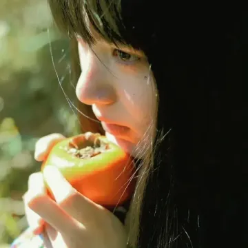 南城用户